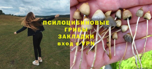 мескалин Алексеевка