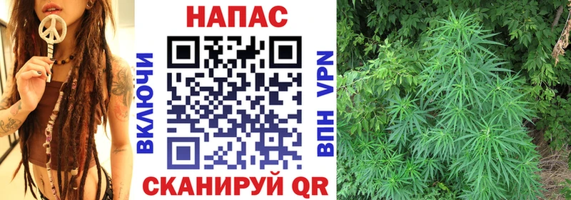 Бошки марихуана Bruce Banner  мега ссылки  Солнечногорск  купить закладку 
